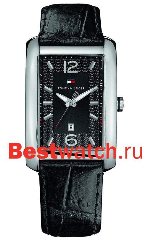 Часы Tommy Hilfiger Flagstaff 1710285